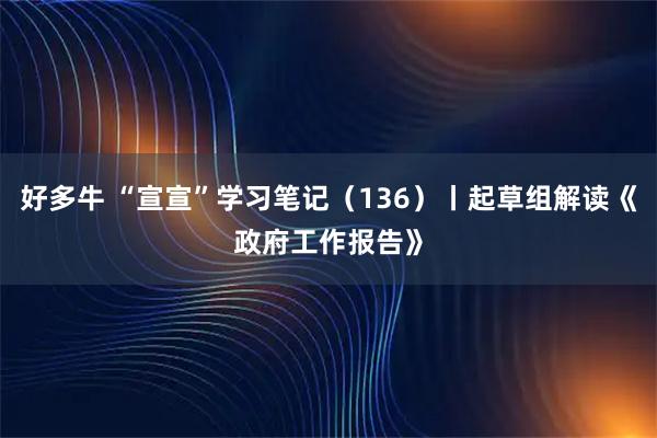 好多牛 “宣宣”学习笔记（136）丨起草组解读《政府工作报告》